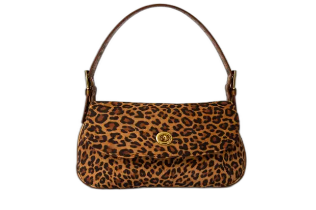Bolso